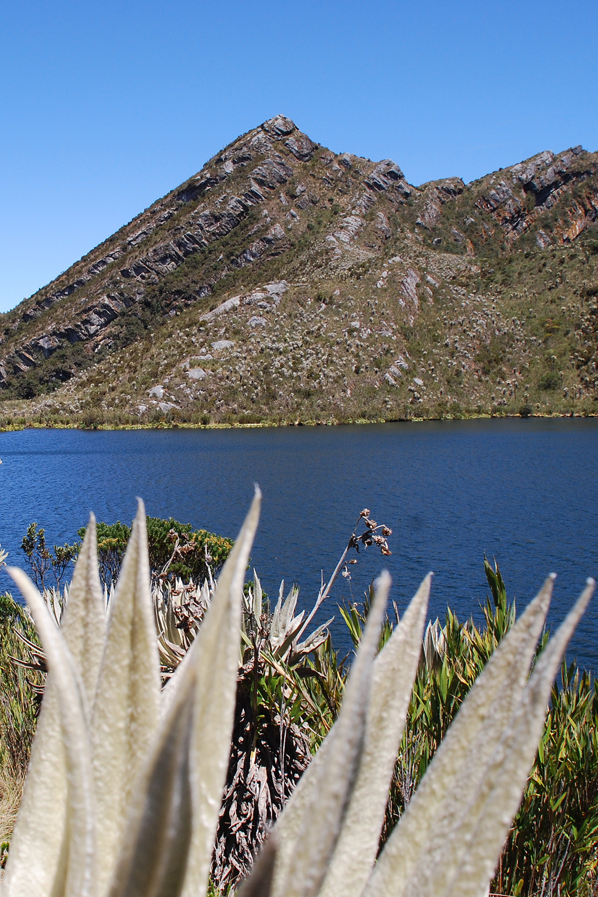 Embalse que abastece el sistema de acueducto de Bogotá